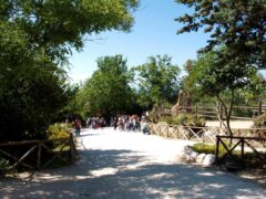 Parco Zoo di Falconara