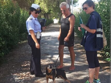 Controlli sui cani a Jesi