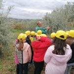 Alunni visitano un oliveto