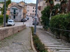 Nuove piante in via Castelfidardo a Jesi