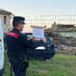 Area sequestrata a Montecarotto dai Carabinieri Forestali