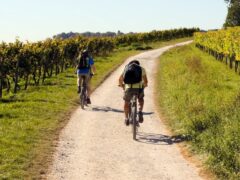 Evento "Bike&Wine" a Jesi