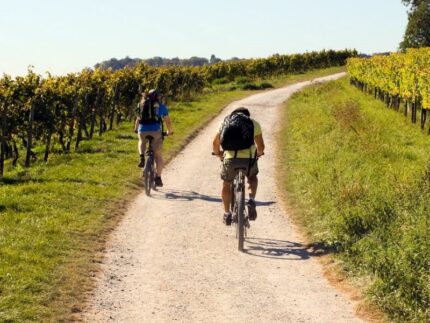 Evento "Bike&Wine" a Jesi