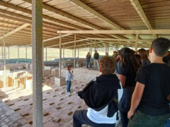 Area Archeologica di Septempeda San Severino Marche