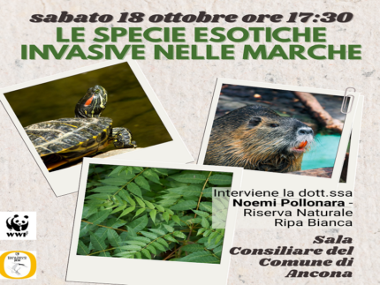 Incontro pubblico ad Ancona sull'impatto delle specie invasive