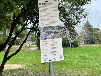 Campagna informativa sulla presenza dei lupi ad Ancona