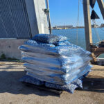 Prodotti ittici sequestrati ad Ancona