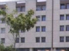 Salesi di Ancona