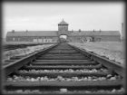 Auschwitz