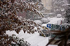 Neve ad Ancona e Falconara