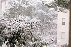 Neve ad Ancona e Falconara