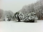Neve ad Ancona e Falconara