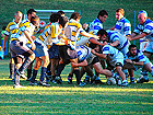 Rugby marchigiano, amatoriale