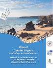 Locandina videoproiezione di Claudio Coppari - "Destinazione nord"