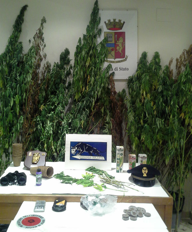 Il sequestro di marijuana e materiali effettuati dalla Polizia di Osimo