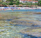 Mare e Alghe