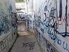 Via Paolucci ad Ancona, tra degrado e sporcizia