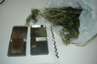 Marijuana sequestrata