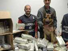 Il carico di droga sequestrato dalla GdF di Ancona grazie al fiuto del cane "Acca"