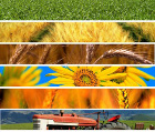 Agricoltura