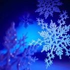 Fiocco di neve