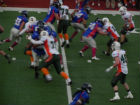 Dolphis Ancona a Bolzano