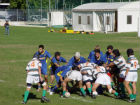 Rugby Jesi