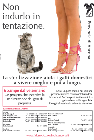 Manifesto "sei zampe dal veterinario"