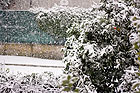 Neve ad Ancona a Dicembre