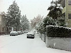 Neve