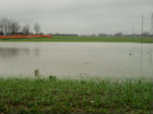 Campo allagato
