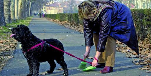 Raccolta deiezioni canine