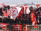 Tifosi dorici