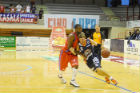 Pecile in azione