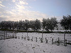 Neve a Montemaricano